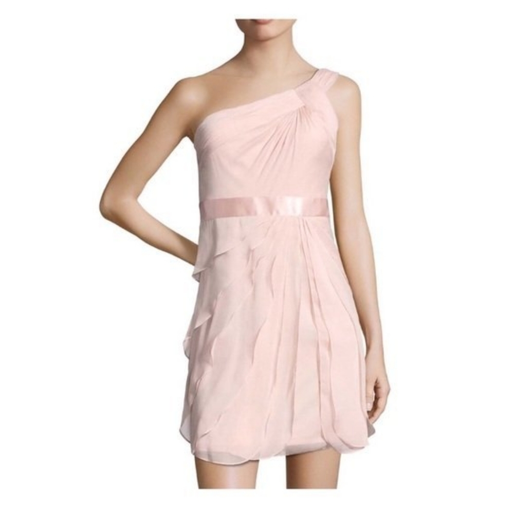Blush Flutter Chiffon Adrianna Papell Dress
